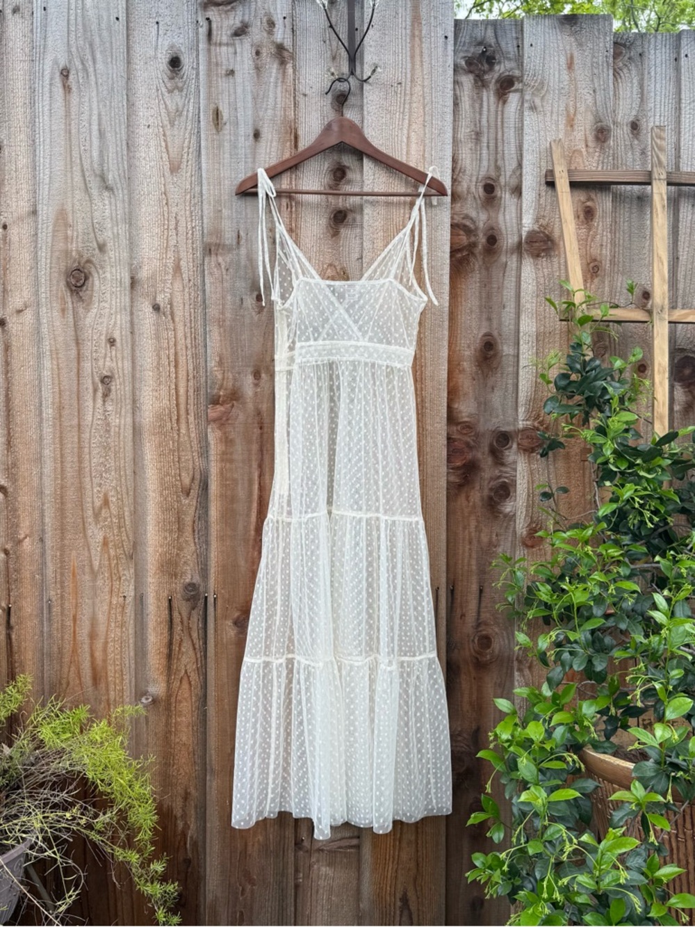 Ivory Cream Swiss Dot Sheer Maxi Slip Dress 🌿 - Picture 10 of 11